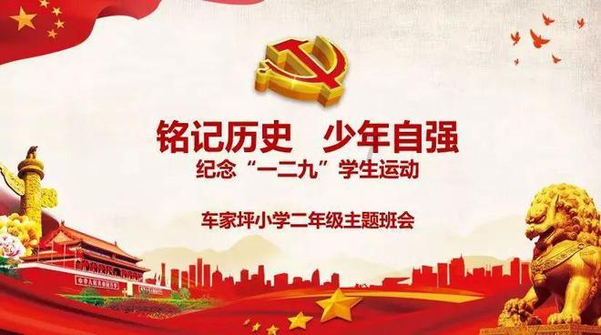 细胞分裂5